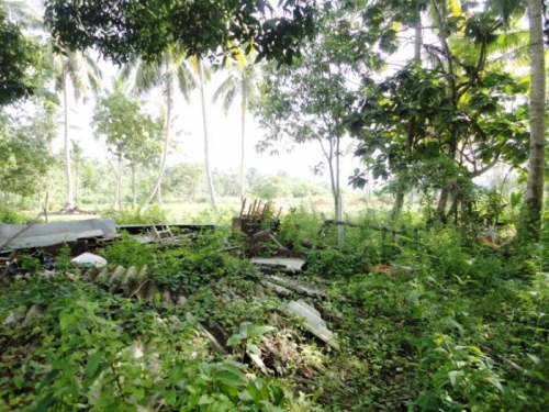 Picturesque property in Induruwa