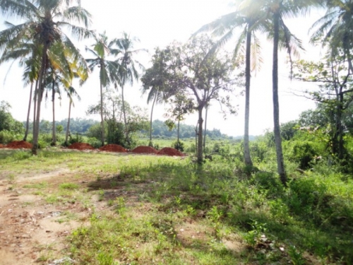Picturesque property in Induruwa