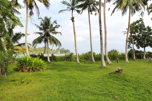Half an acre of stunning ocean front property