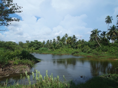 Large portion of beachfront land