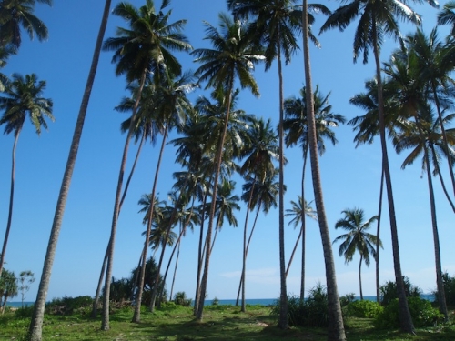 Large portion of beachfront land