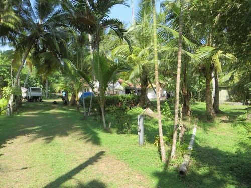 Two Properties in Akurala