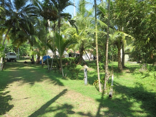 Two Properties in Akurala