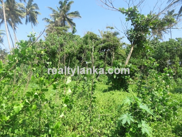 Beachfront property with panoromic view