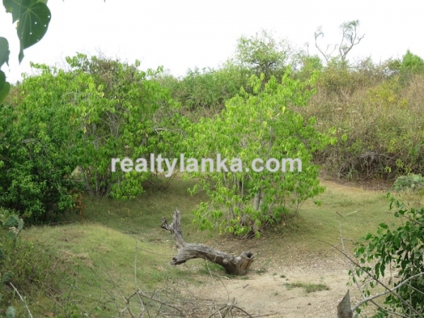 Bare Land Facing the Lagoon