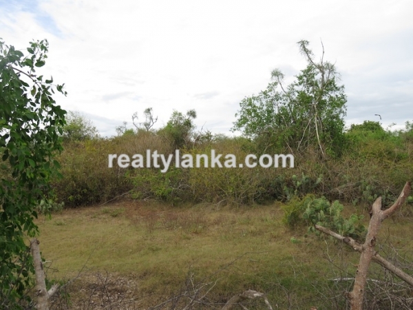 Bare Land Facing the Lagoon