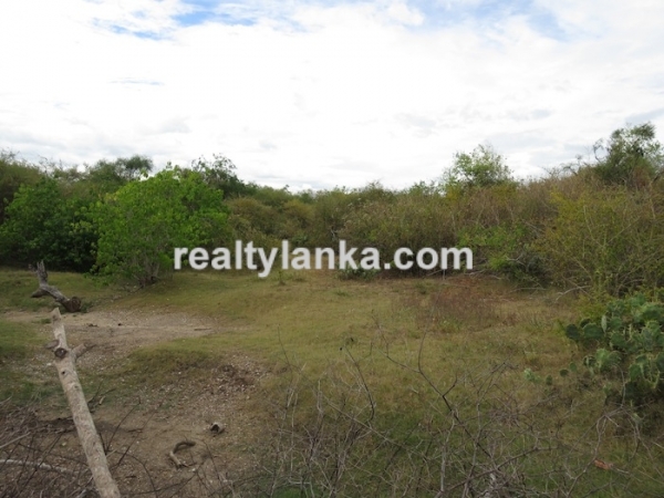 Bare Land Facing the Lagoon