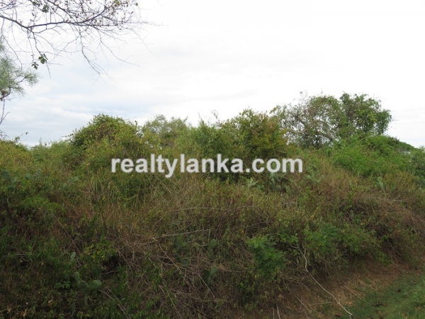 Bare Land Facing the Lagoon