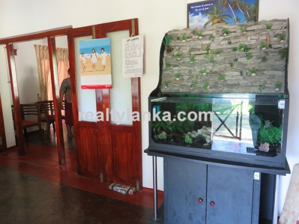 200 Perch Land Wth Two Houses