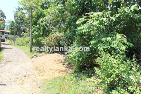 BareLand in Unawatuna