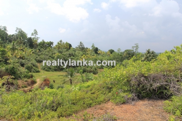 Property with a Relaxing View Over Paady