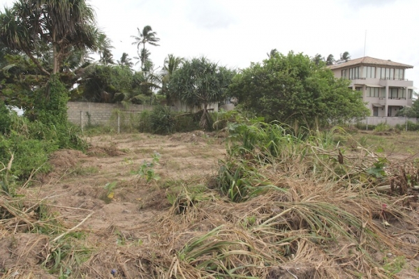 Rare Piece of Land In Palana