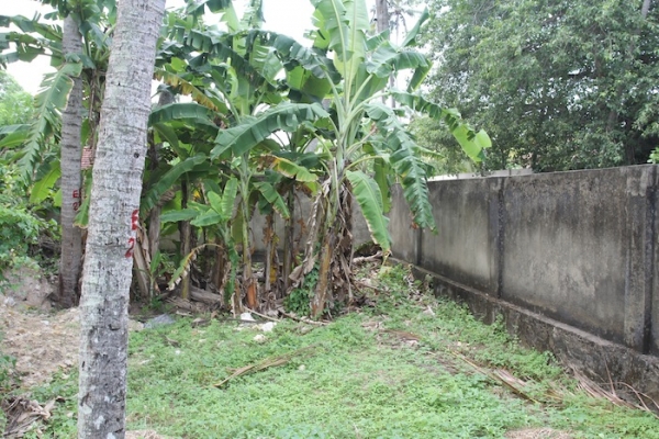 Prime Piece Of Property In Thalpe