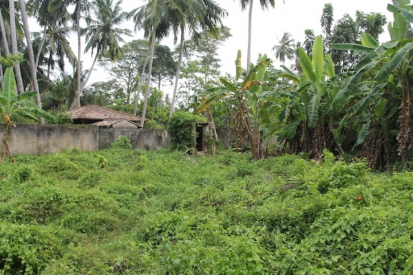 Prime Piece Of Property In Thalpe