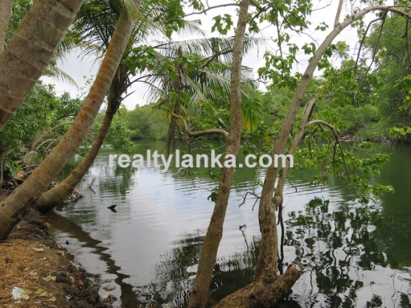 River front Proprty In A Calm & Quiet Area