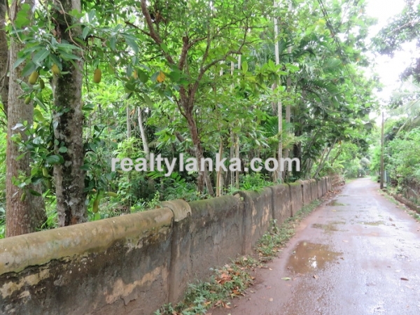 River front Proprty In A Calm & Quiet Area