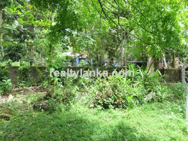 River front Proprty In A Calm & Quiet Area