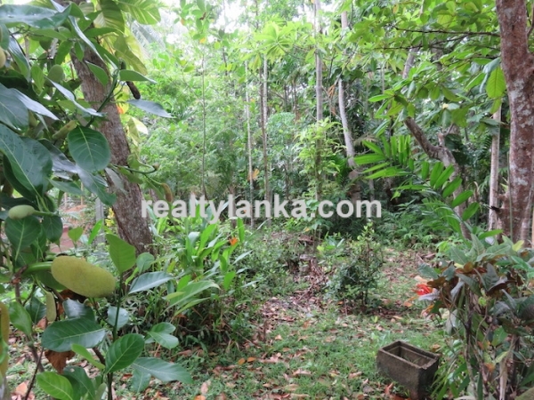 River front Proprty In A Calm & Quiet Area