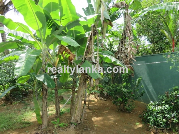 Cozy Two Bedroom house in Hikkaduwa