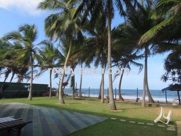 Property On Induruwa Beach