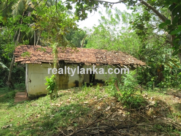 Propert In Donra Beach