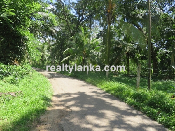 A Small Colonial House With Paddy View