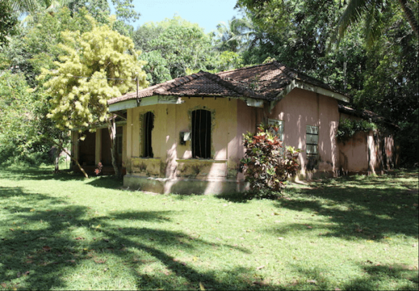 Property With A Paddy View
