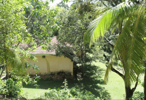 Property With A Paddy View