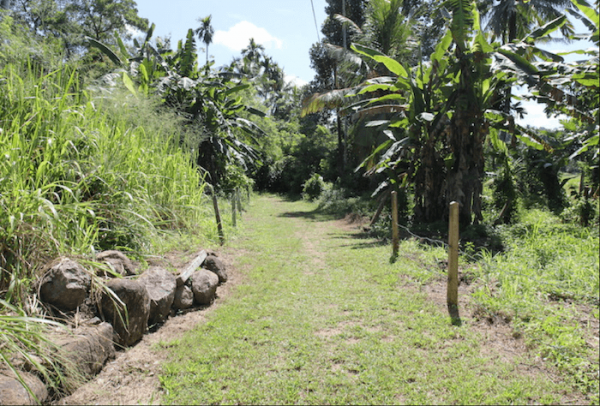Property With A Paddy View