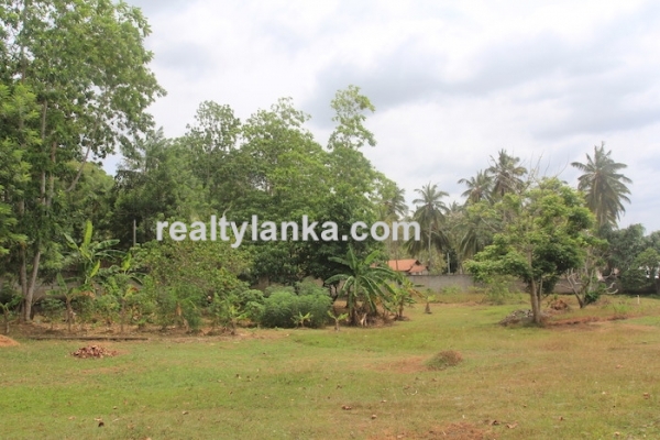 Elevated Beach Property In Dickwella