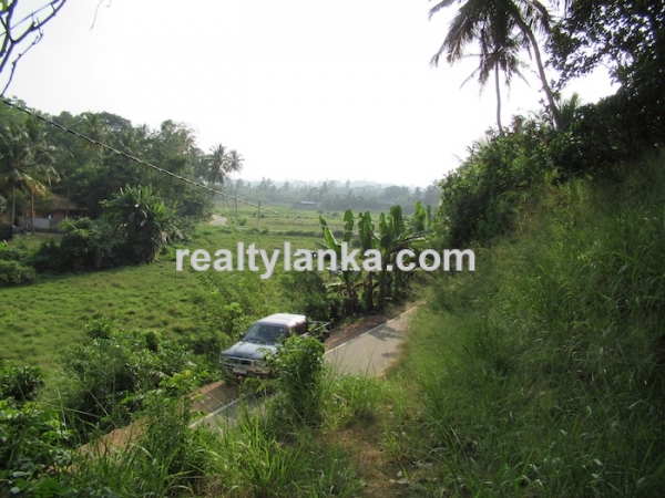 Elevated Paddy View Property In Mirissa