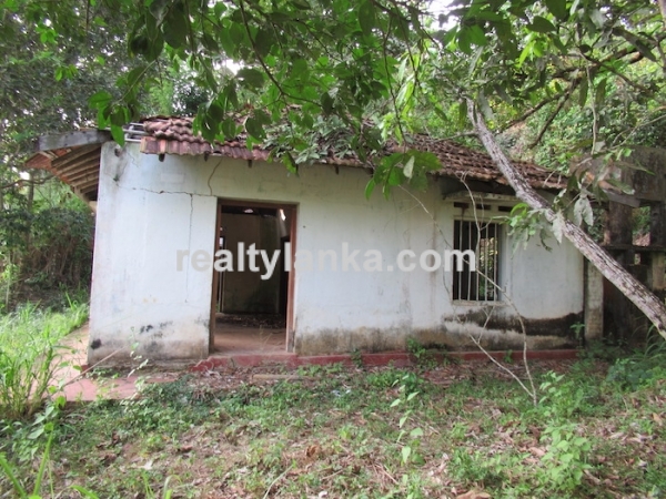 Elevated Paddy View Property In Mirissa
