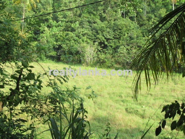Elevated Paddy View Property In Mirissa