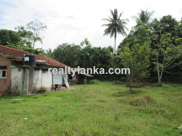 Property With A Beautiful Paddy View