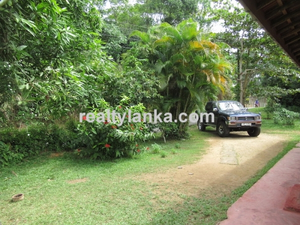 Property With A Beautiful Paddy View