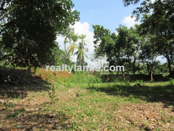 Elevated Property with a Paddy View