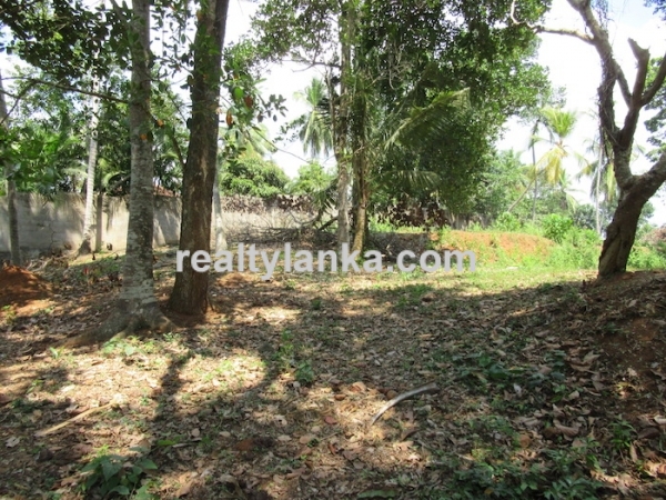 Elevated Property with a Paddy View