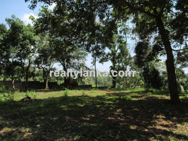 Elevated Property with a Paddy View