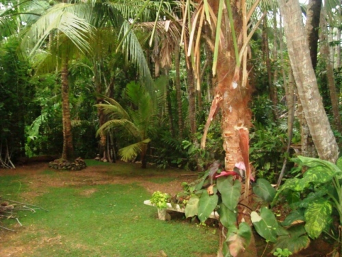 Gorgeous property close to the beach