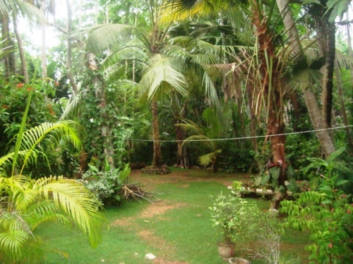 Gorgeous property close to the beach