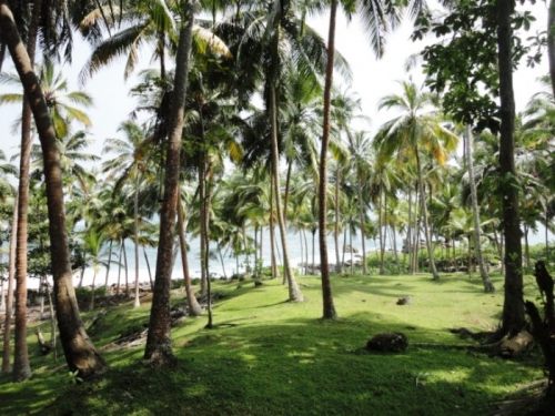 Rare South Coast Headland  Dondra