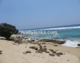 Breathtaking Beach Property in Weligama WB 12